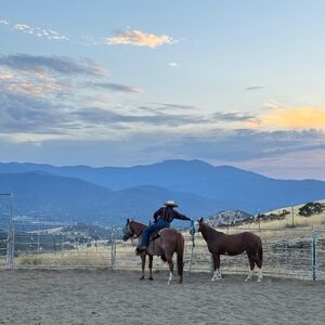Meet your Posher, Madison